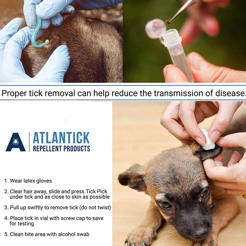 Atlantick TickPick - The Ultimate Double-Sided Tick Removal Tool