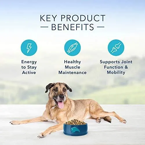 Blue Buffalo Life Protection Formula Senior Dog Food - Natural Dry Dog Food for Senior Dogs - Chicken and Brown Rice - 30 lb. Bag