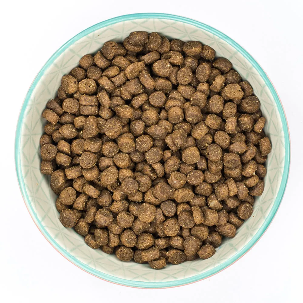 Burns Original - Kitten Food - Chicken & Rice