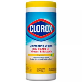 Clorox Disinfecting Wipes Cleaning Wipes - Crisp Lemon - 35ct