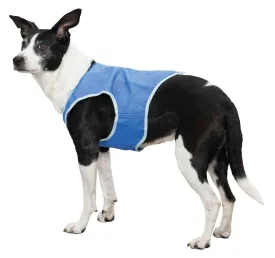 Cooling Vest For Dogs (Size Varieties)