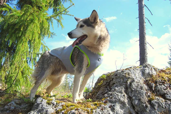 Cooling Vest - Neon Yellow (L)