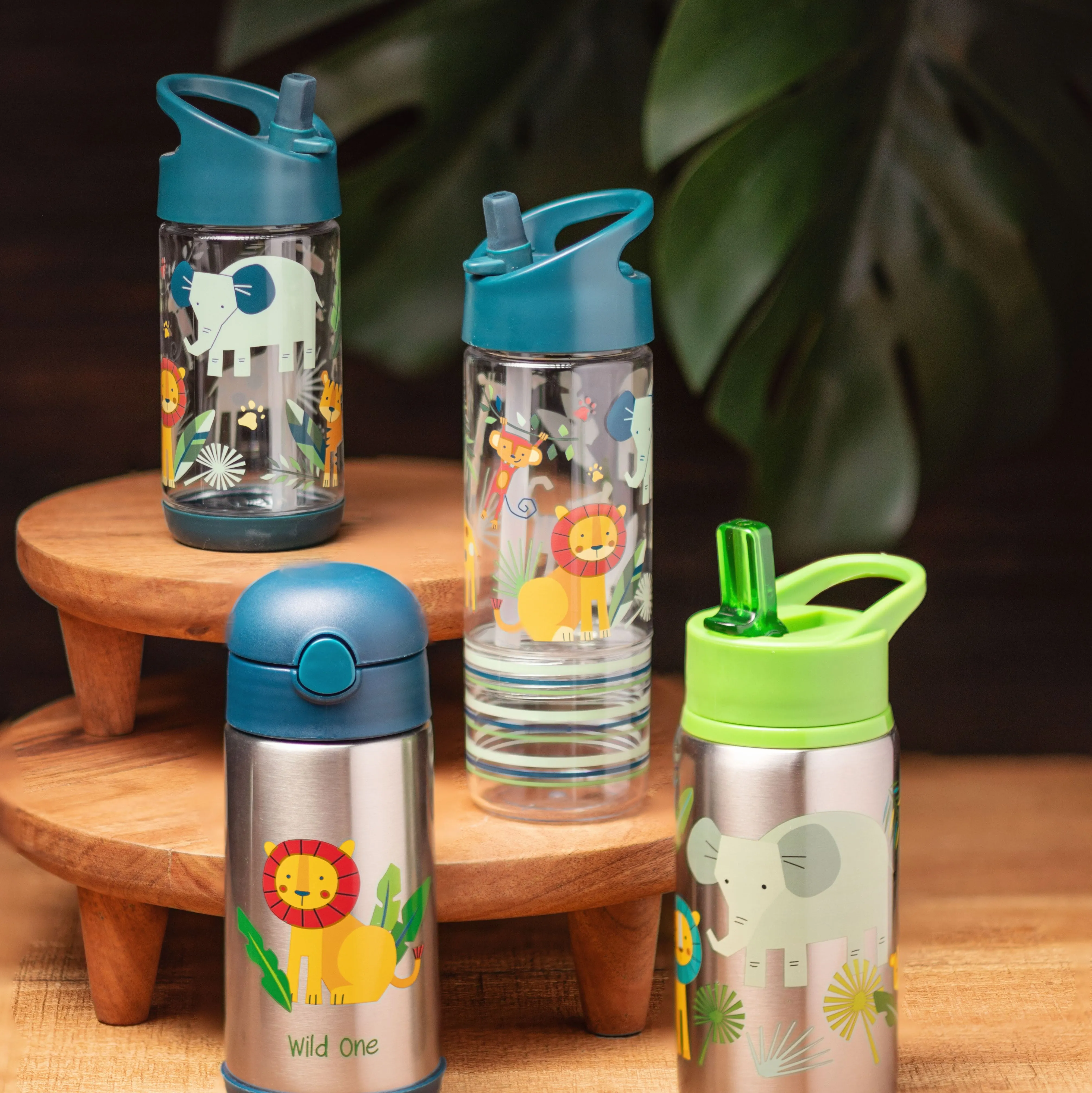 Flip Top Bottle - Zoo