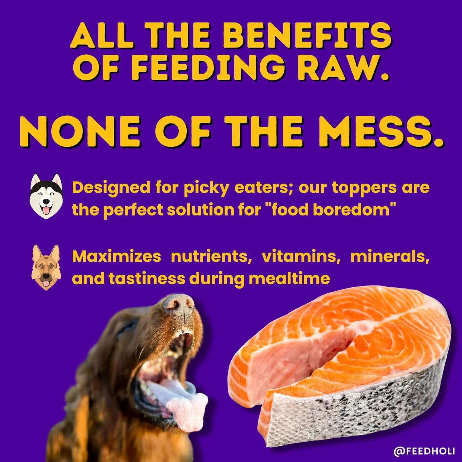 HOLI Freeze Dried Salmon Dog Food Topper - with Omega 3 & 6 - Single Ingredient, Human-Grade Wild Caught Salmon - Dog Food Flavor Enhancer for Picky Dogs  100% All Natural - 3oz