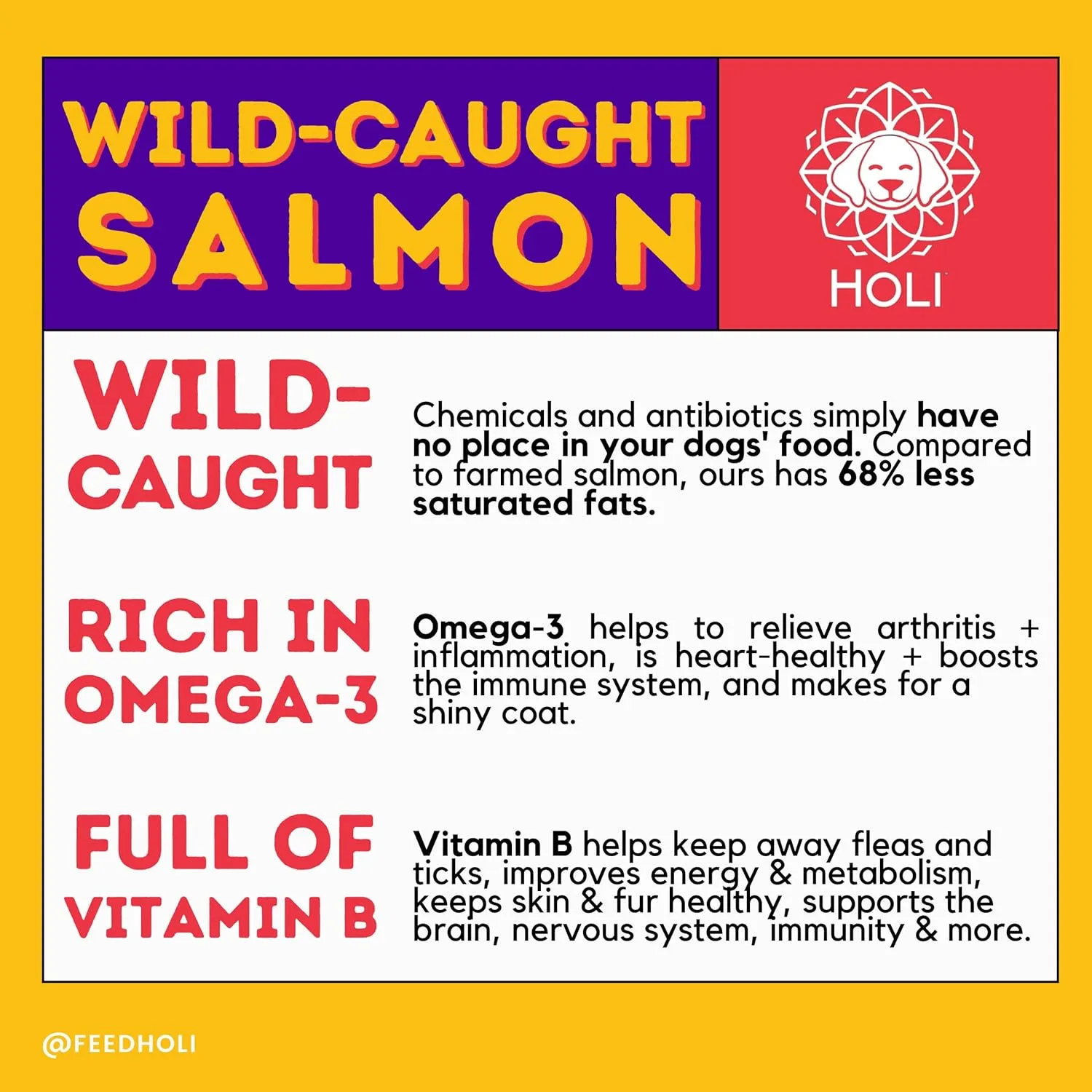 HOLI Freeze Dried Salmon Dog Food Topper - with Omega 3 & 6 - Single Ingredient, Human-Grade Wild Caught Salmon - Dog Food Flavor Enhancer for Picky Dogs  100% All Natural - 3oz