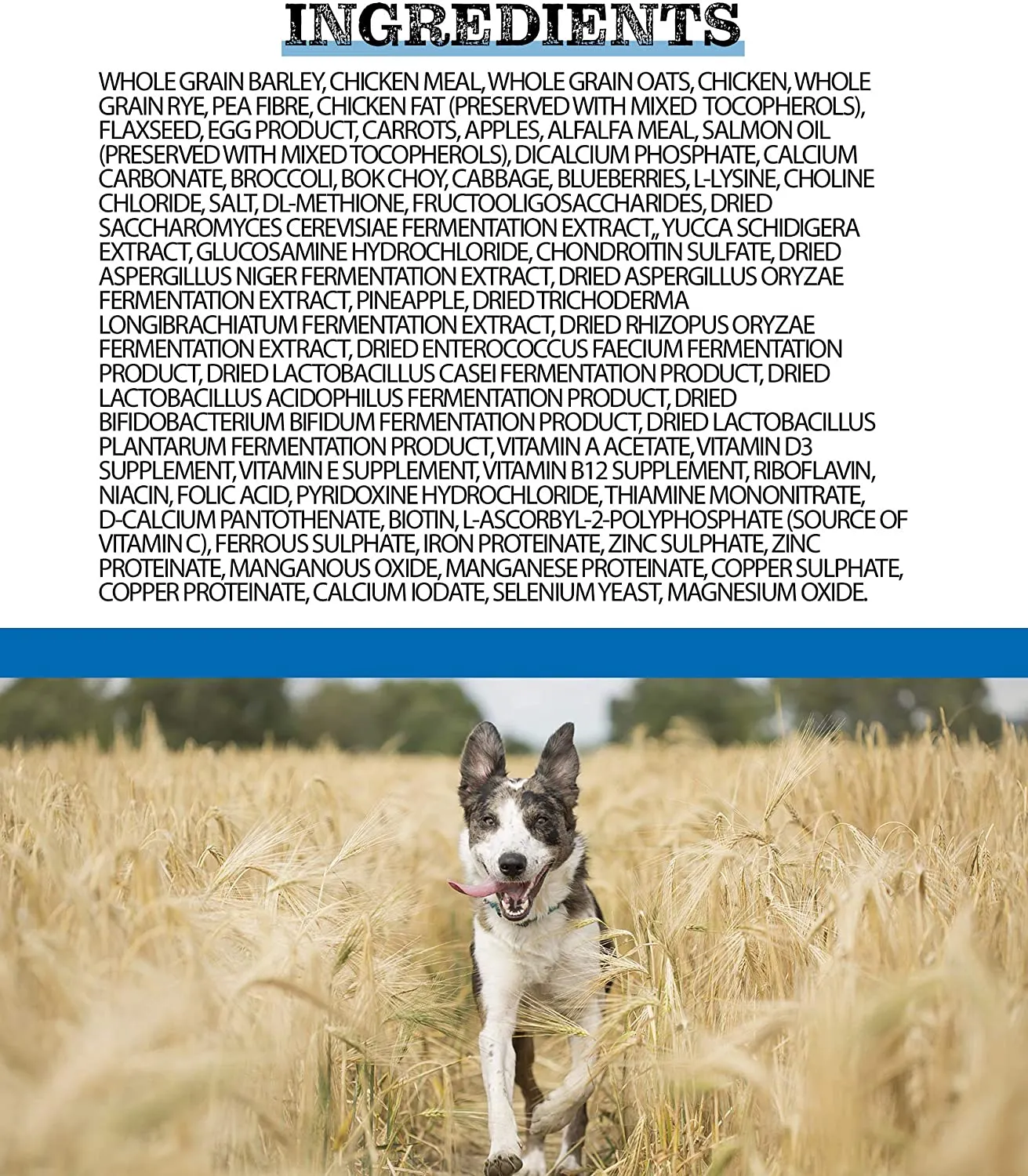 Horizon Complete Formula Senior/Weight Management Dry Dog Food - 8.8 lb Bag