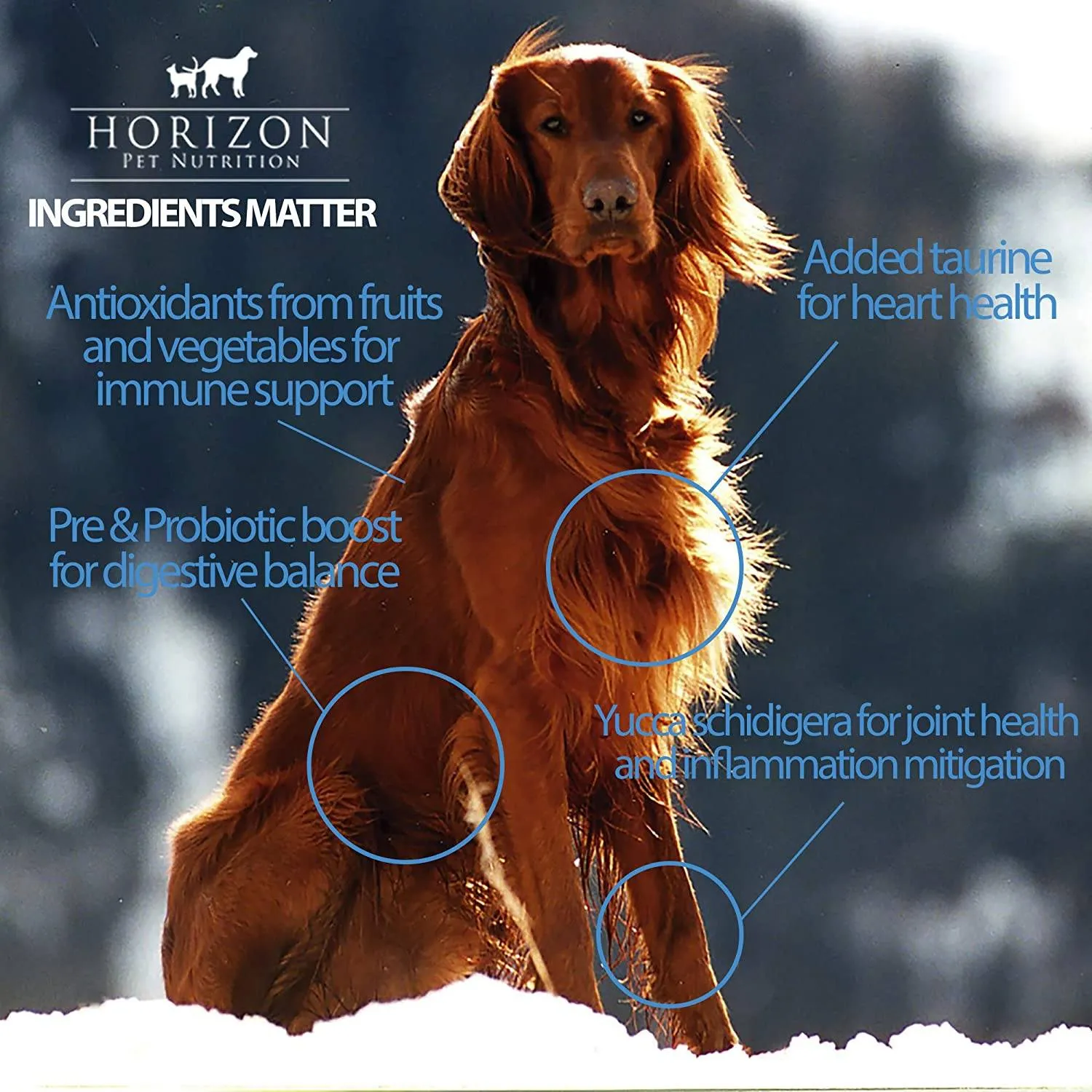 Horizon Complete Formula Senior/Weight Management Dry Dog Food - 8.8 lb Bag