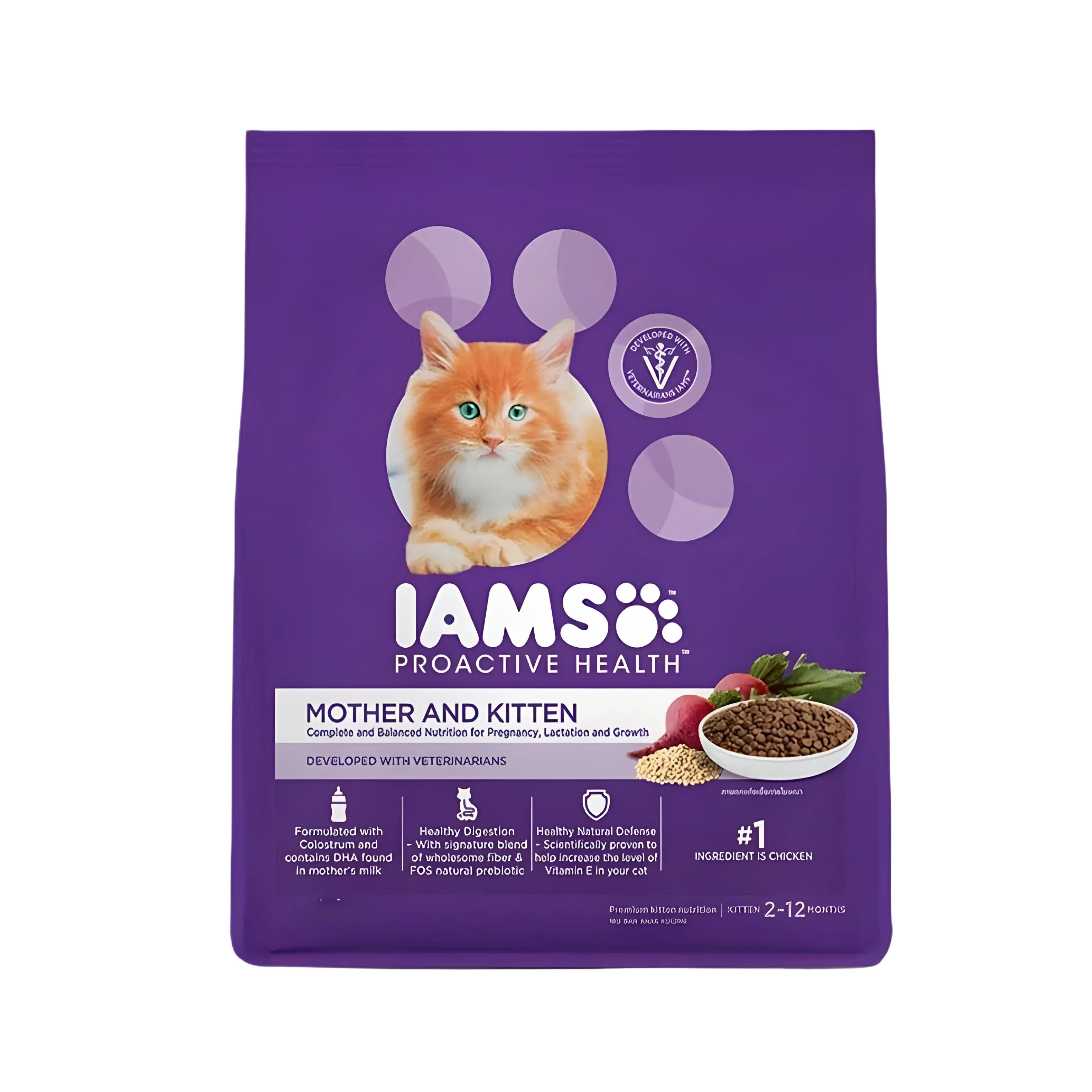 IAMS KITTEN & MOTHER DRY FOOD (XL)