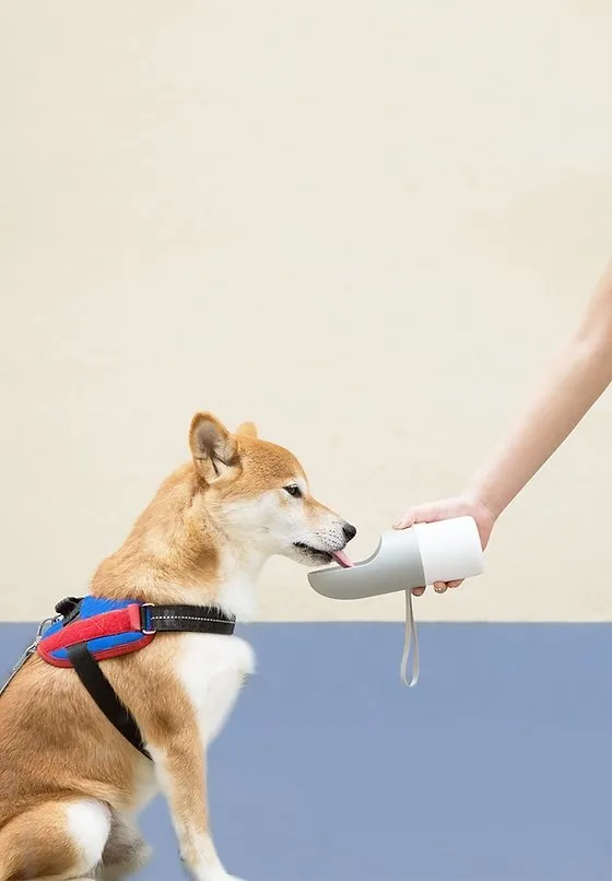 Instachew Rover Pet Travel Bottle