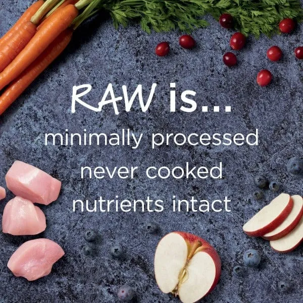 Instinct Raw Boost Real Chicken Recipe Puppy Dry Food, 4lb