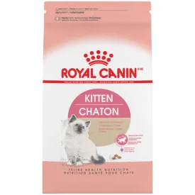Kitten