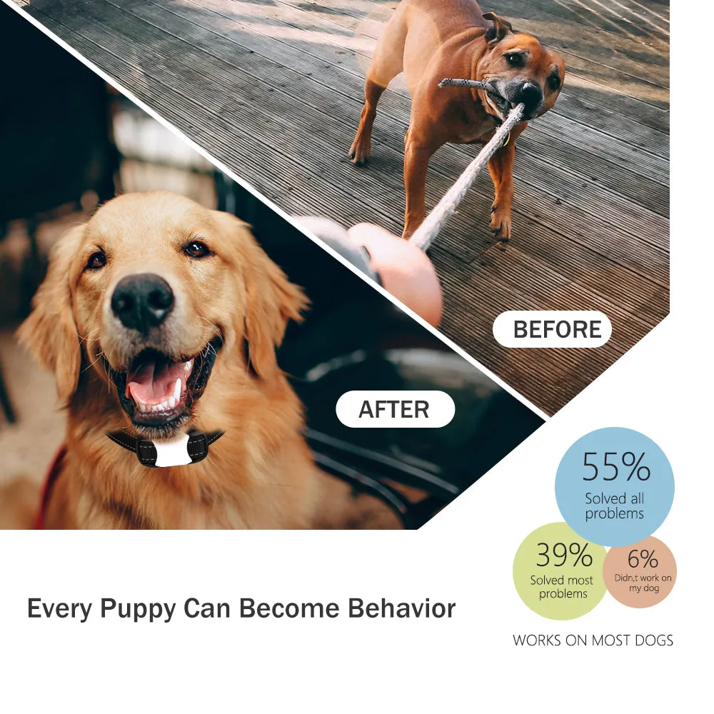 MASBRILL Dog Training Shock Collar for 2 Dogs, Waterproof Rechargeable Dog Shock Collar with Remote, 2000Ft 3 Modes Beep Vibrating Shock for Small Medium Large Dogs