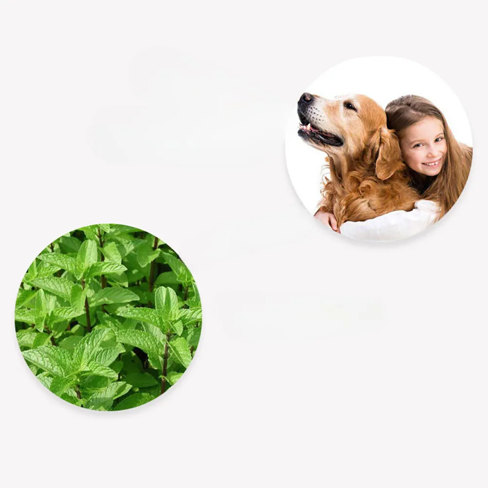 Pet Cleaning Wipes