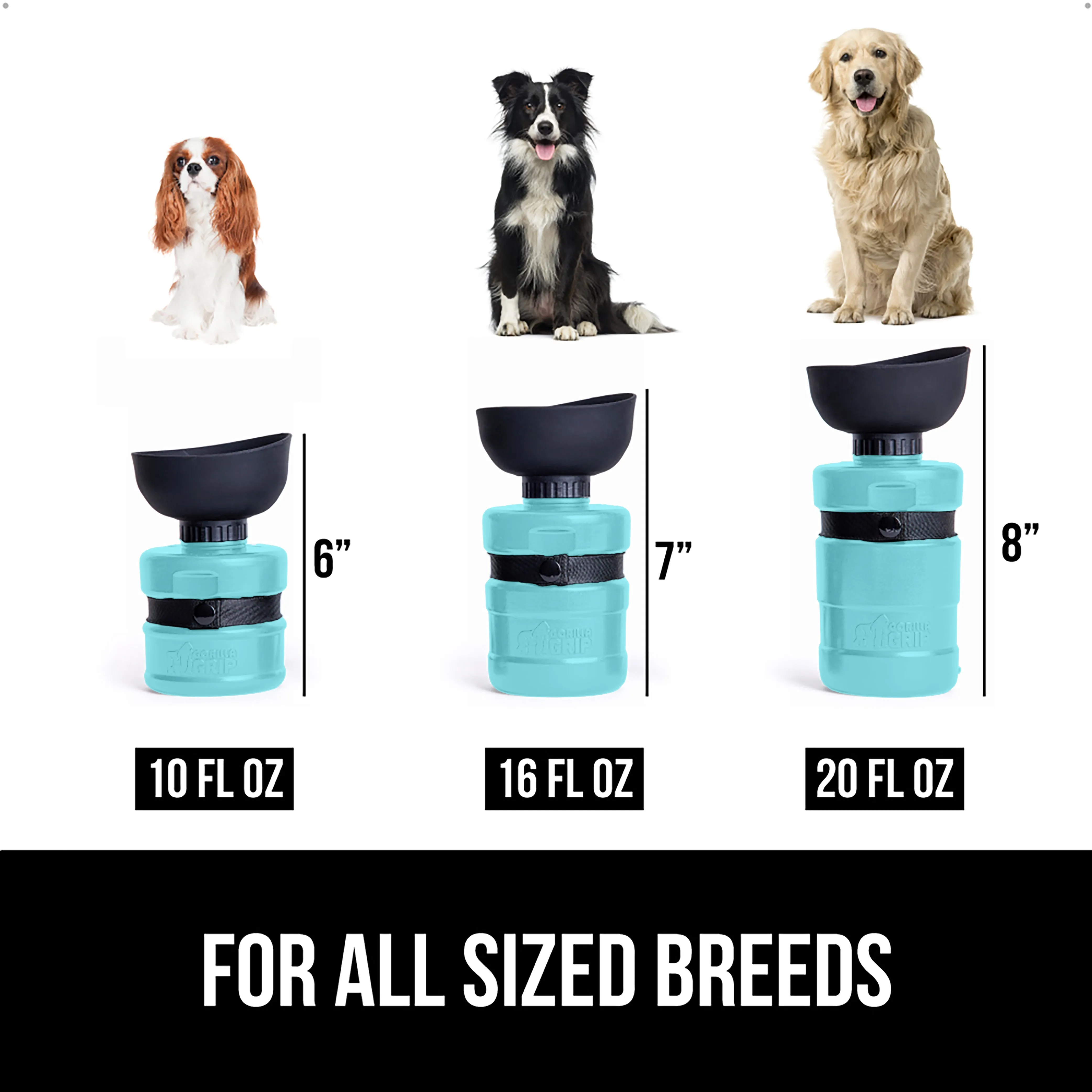 Pet Water Bottle