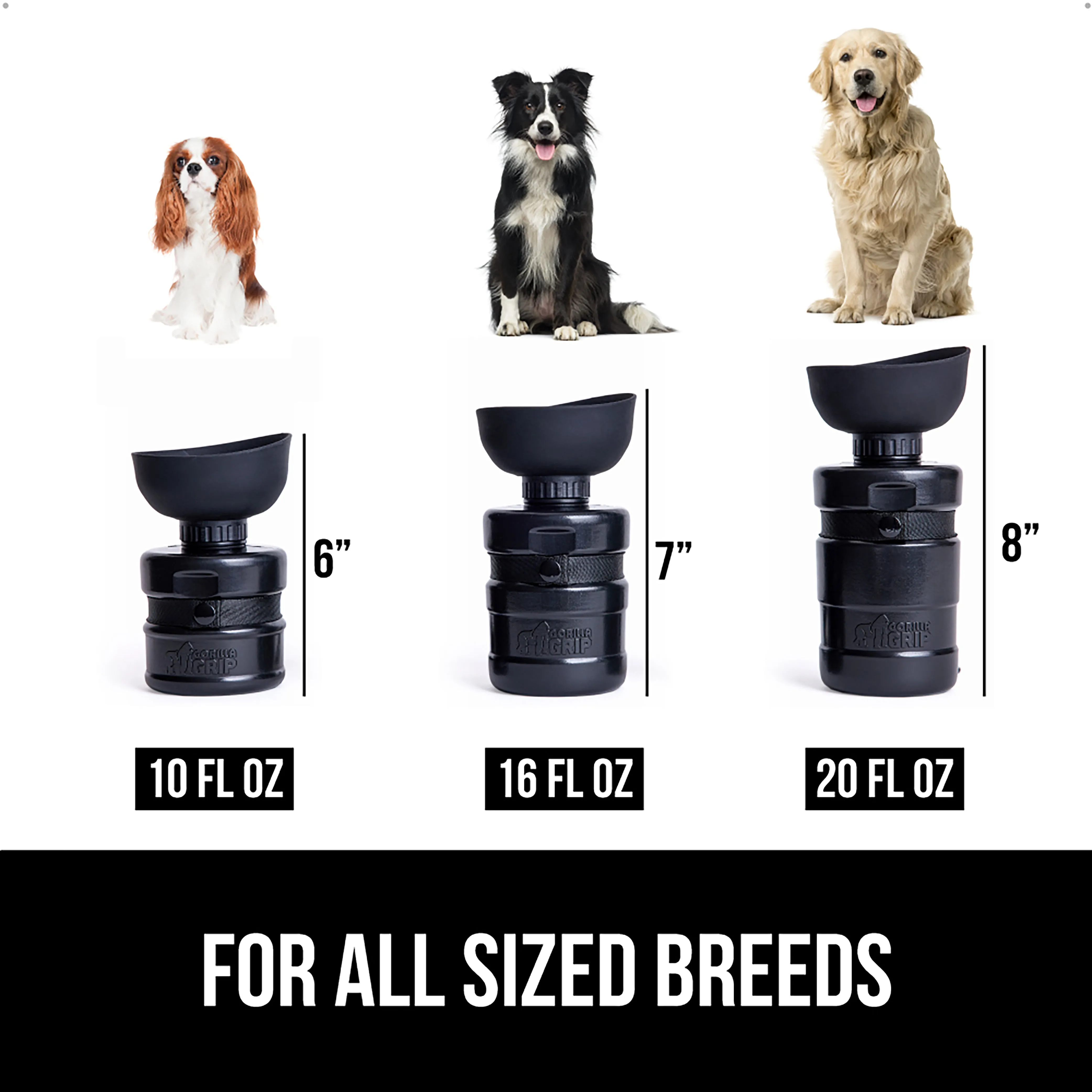 Pet Water Bottle