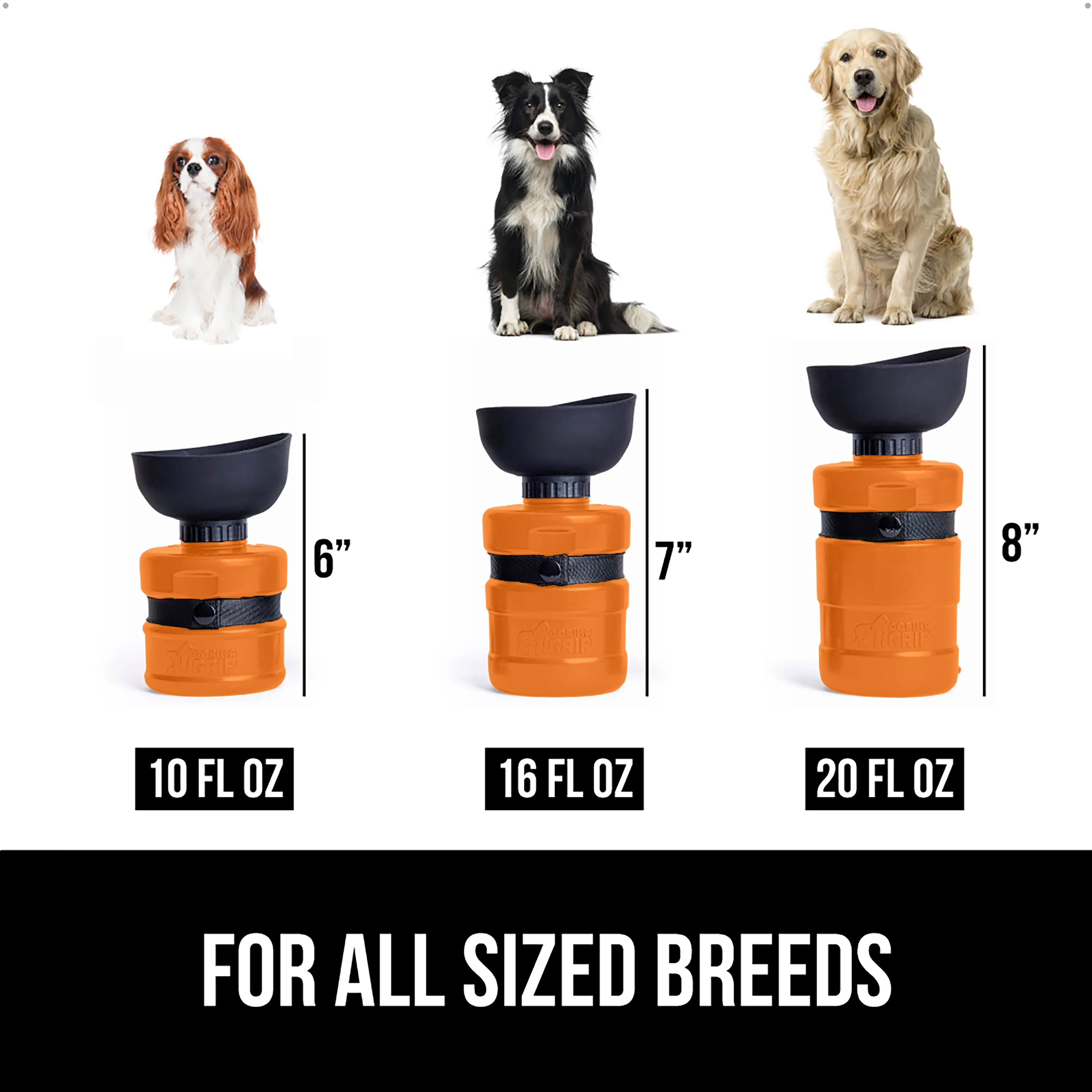 Pet Water Bottle