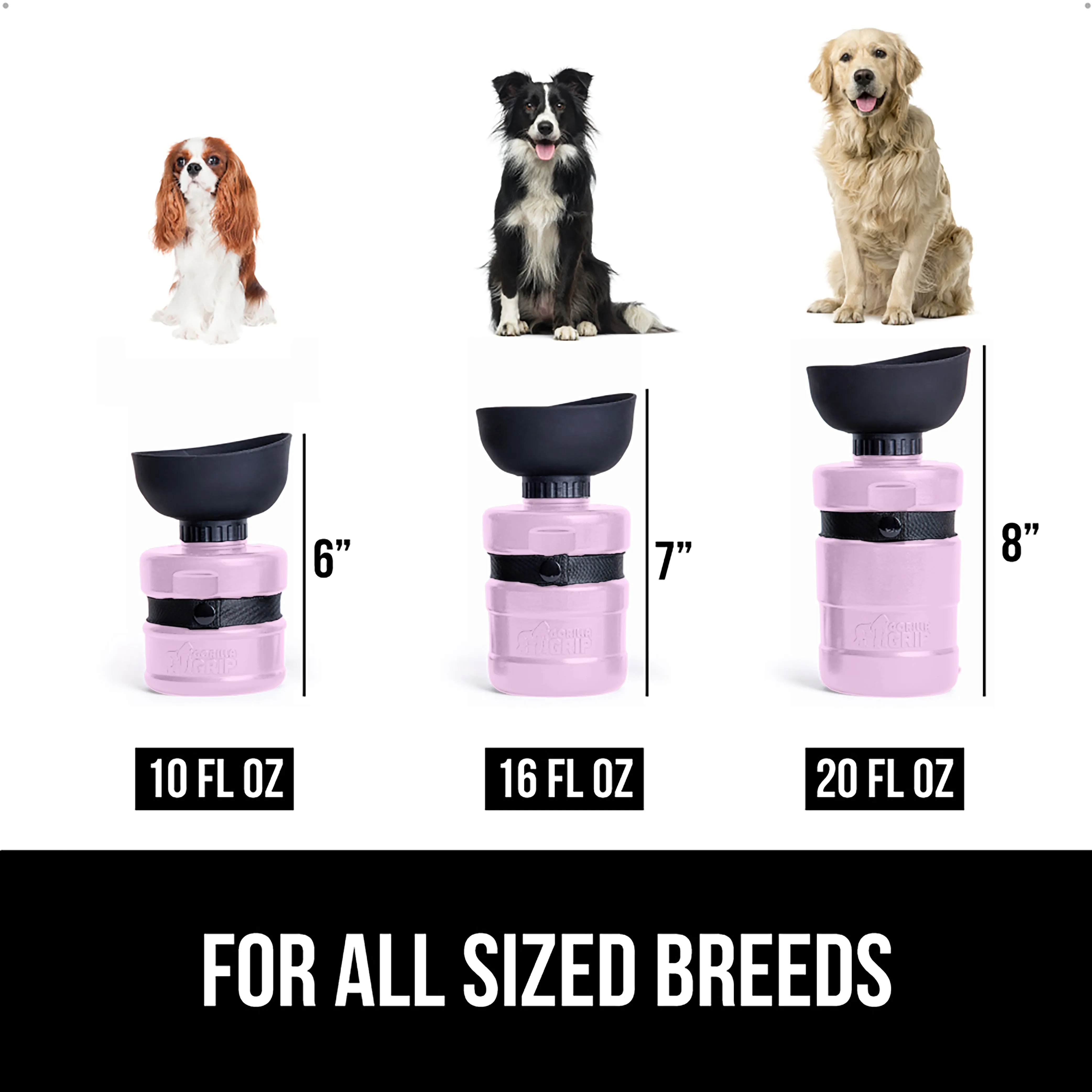 Pet Water Bottle