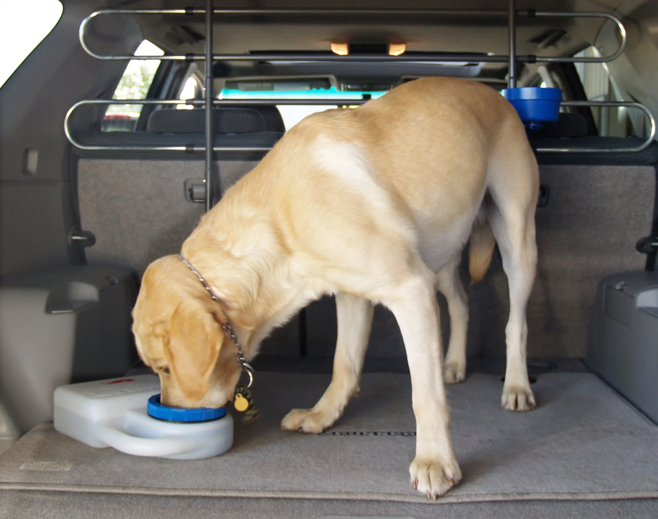 PortablePET WaterBoy Travel Water Bowl for Pets
