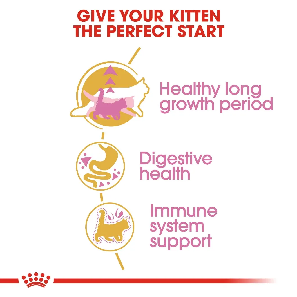 Royal Canin Maine Coon Kitten 2kg Dry Cat Food - Feline Breed Nutrition