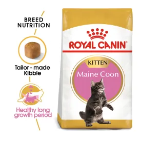Royal Canin - Maine Coon - Kitten