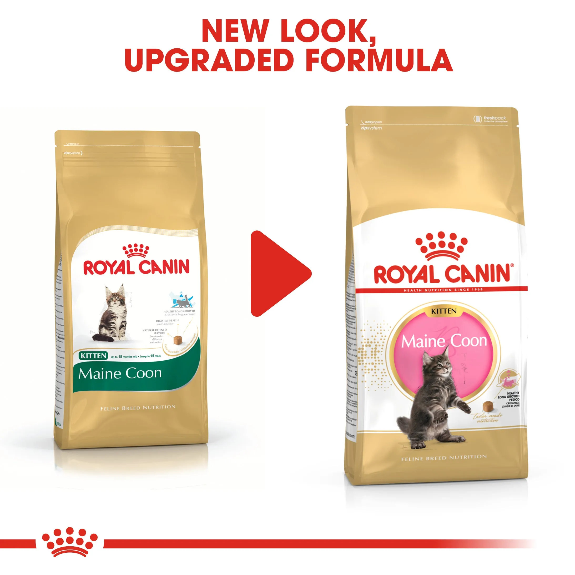 Royal Canin - Maine Coon - Kitten