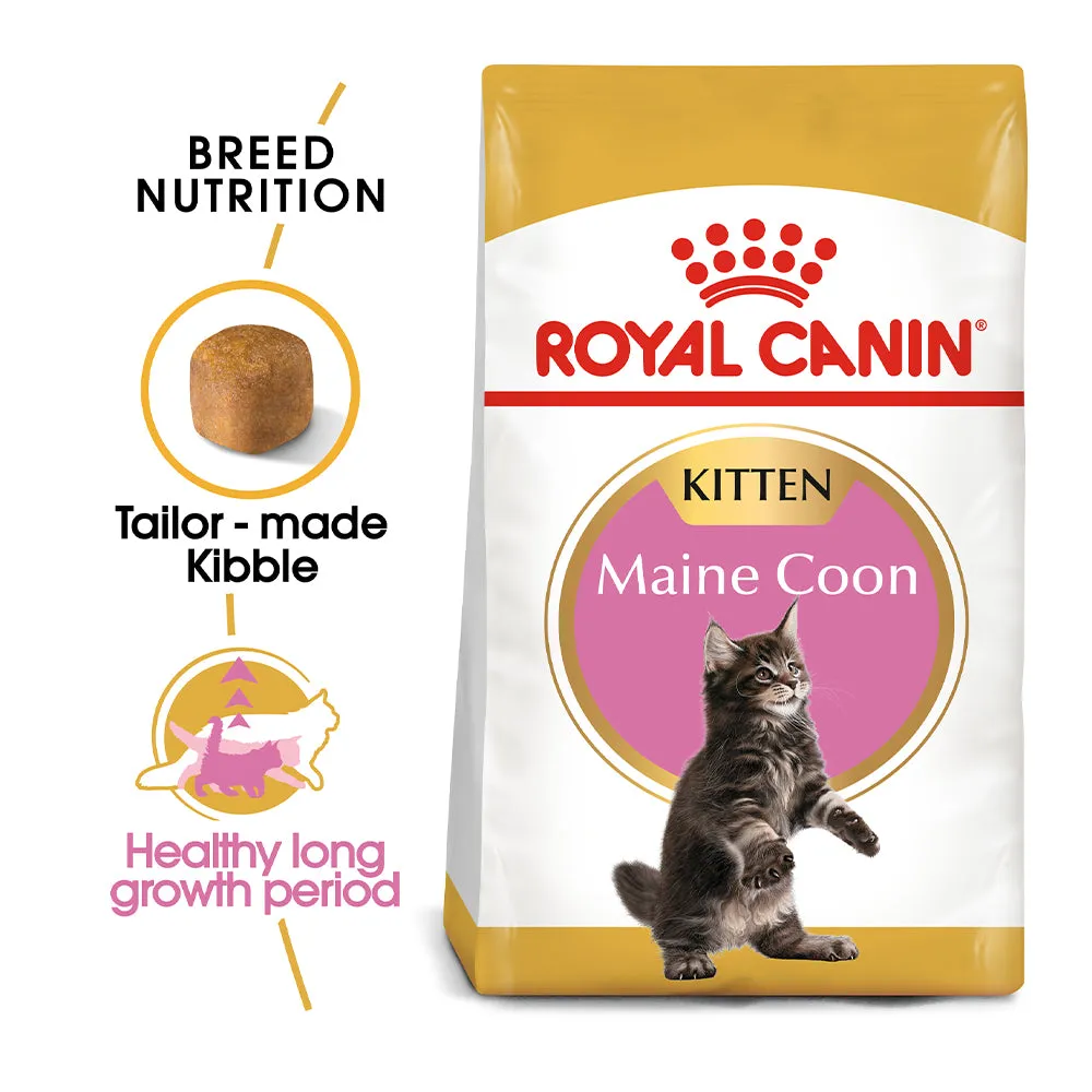 Royal Canin - Maine Coon - Kitten