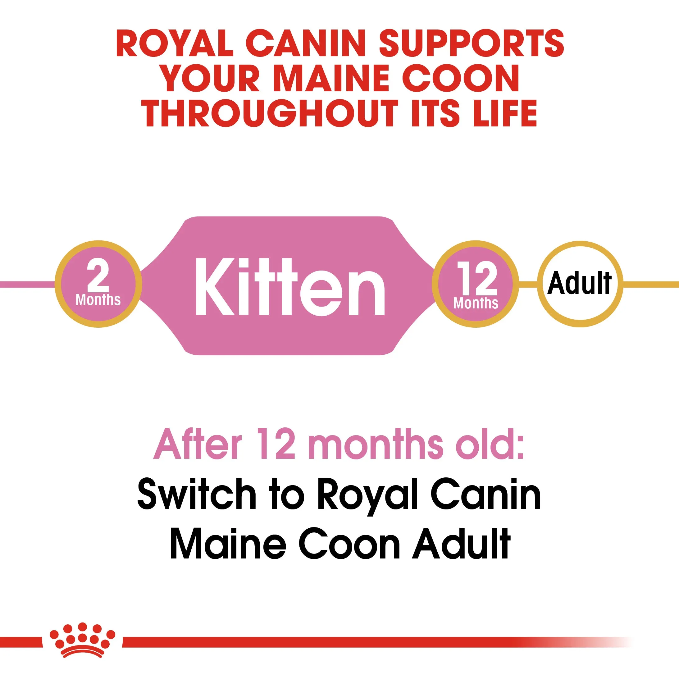 Royal Canin - Maine Coon - Kitten
