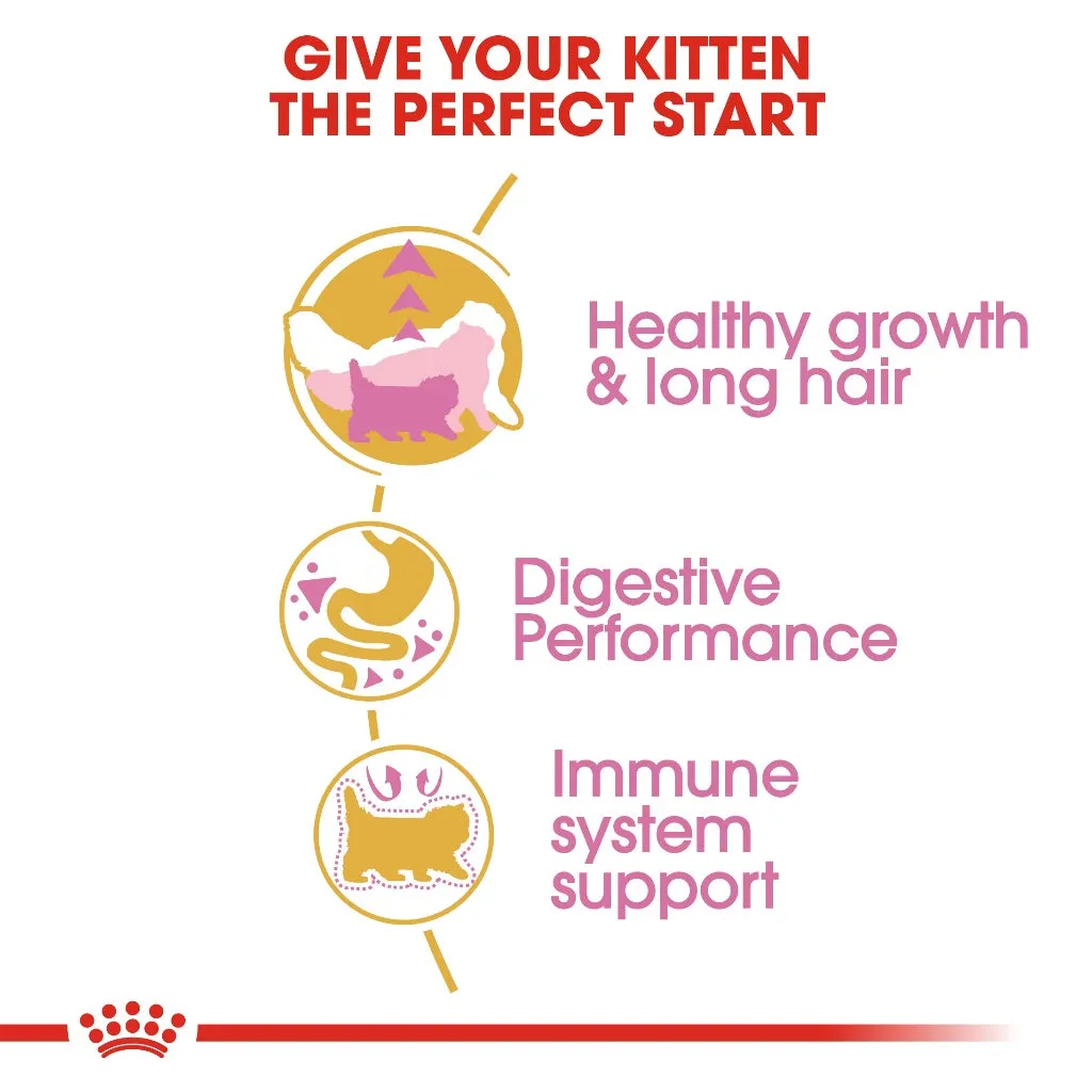 Royal Canin Persian Kitten 10kg Dry Cat Food - Feline Breed Nutrition