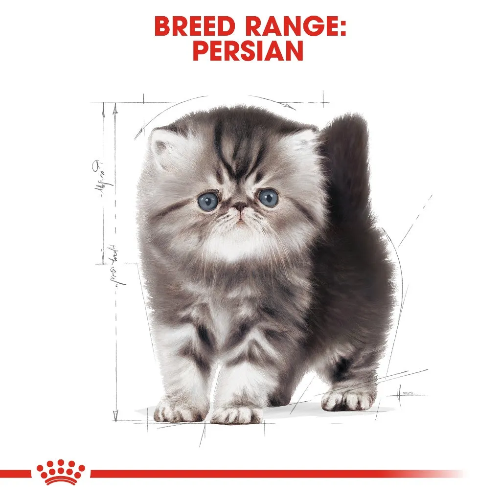 Royal Canin Persian Kitten 10kg Dry Cat Food - Feline Breed Nutrition