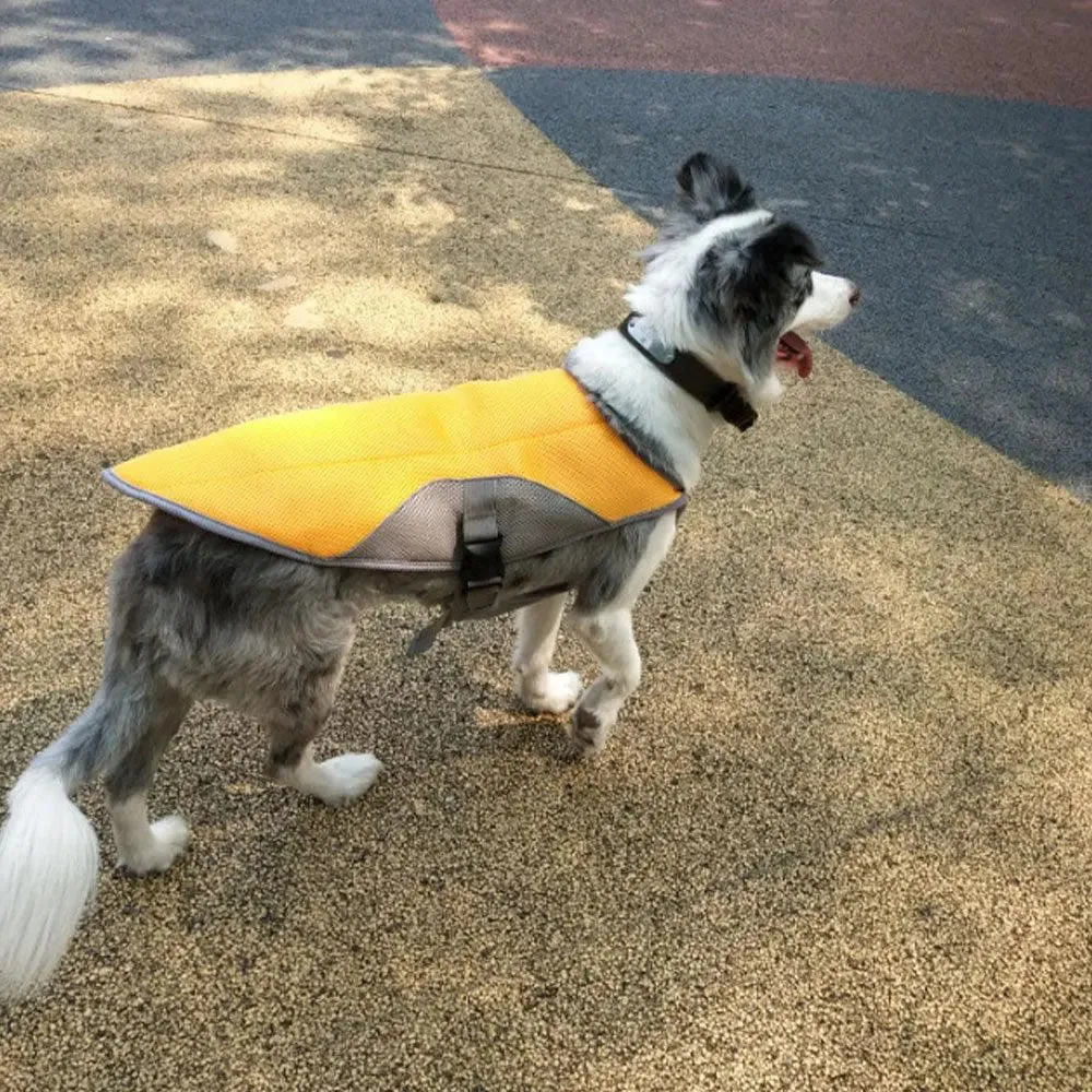 Summer Dog Cooling Vest