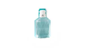 Travel Water Bottle