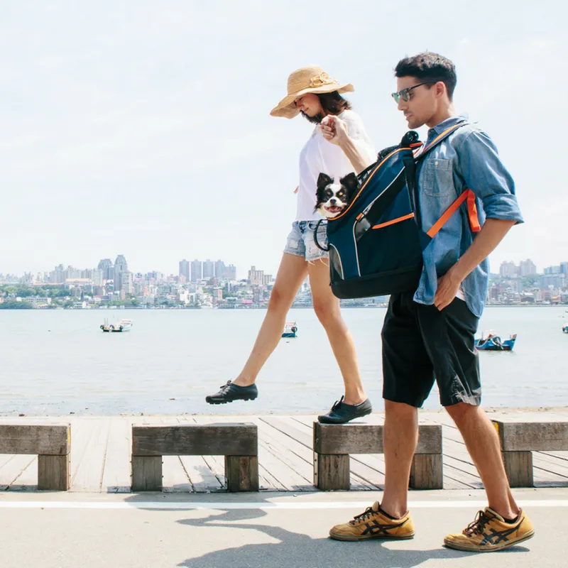 Ultralight Pet Backpack | Navy