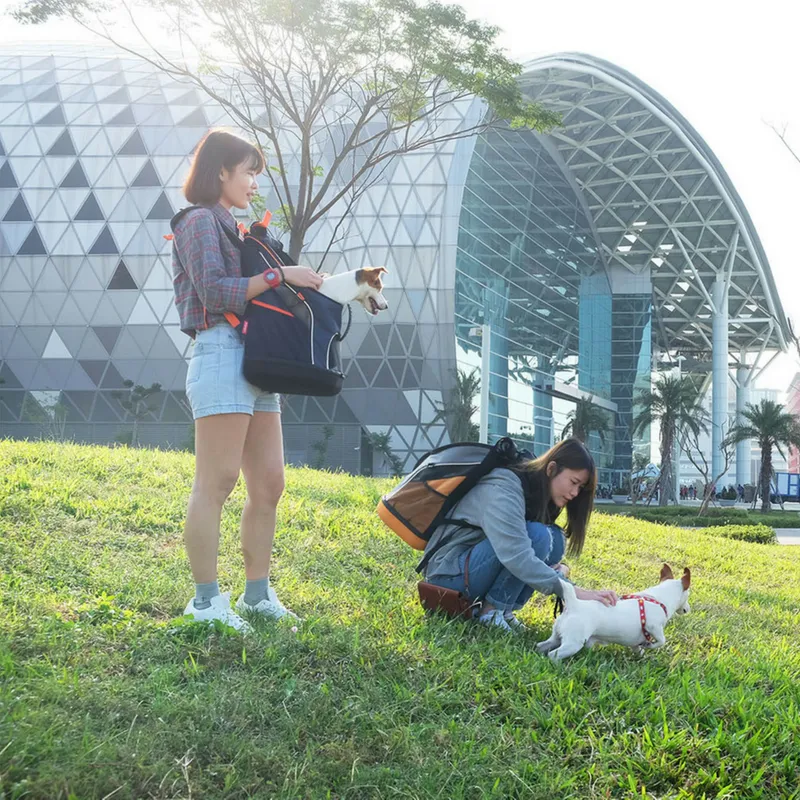 Ultralight Pet Backpack | Navy